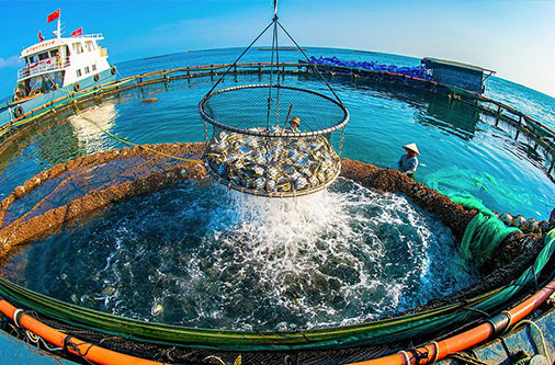 >順祥食品小龍蝦淡水魚養(yǎng)殖加工用水