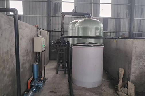 >四川遂寧船山區(qū)眾興豆芽種植場30噸/時(shí)除鐵錳軟化水項(xiàng)目