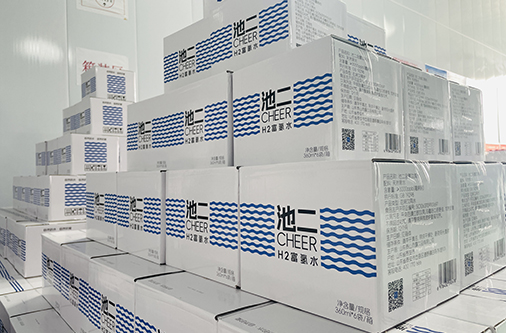 >山東泰安氫水廠